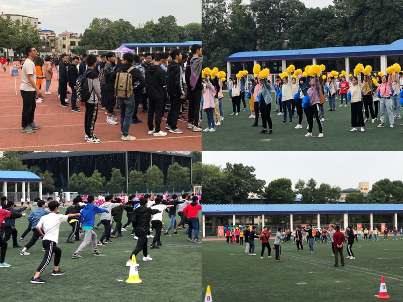 1541059236275068775.jpg 01.jpg