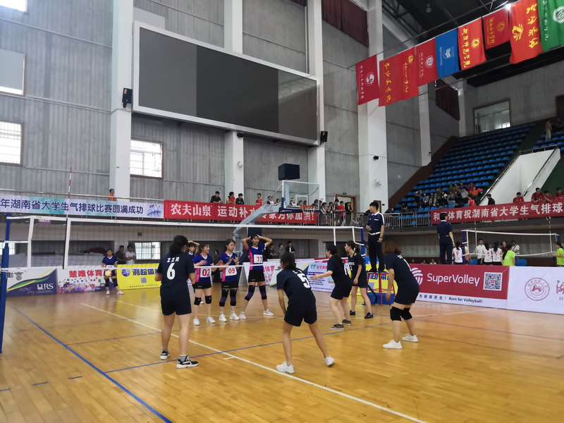 1559635700514087849.jpg mmexport1559635411307.jpg